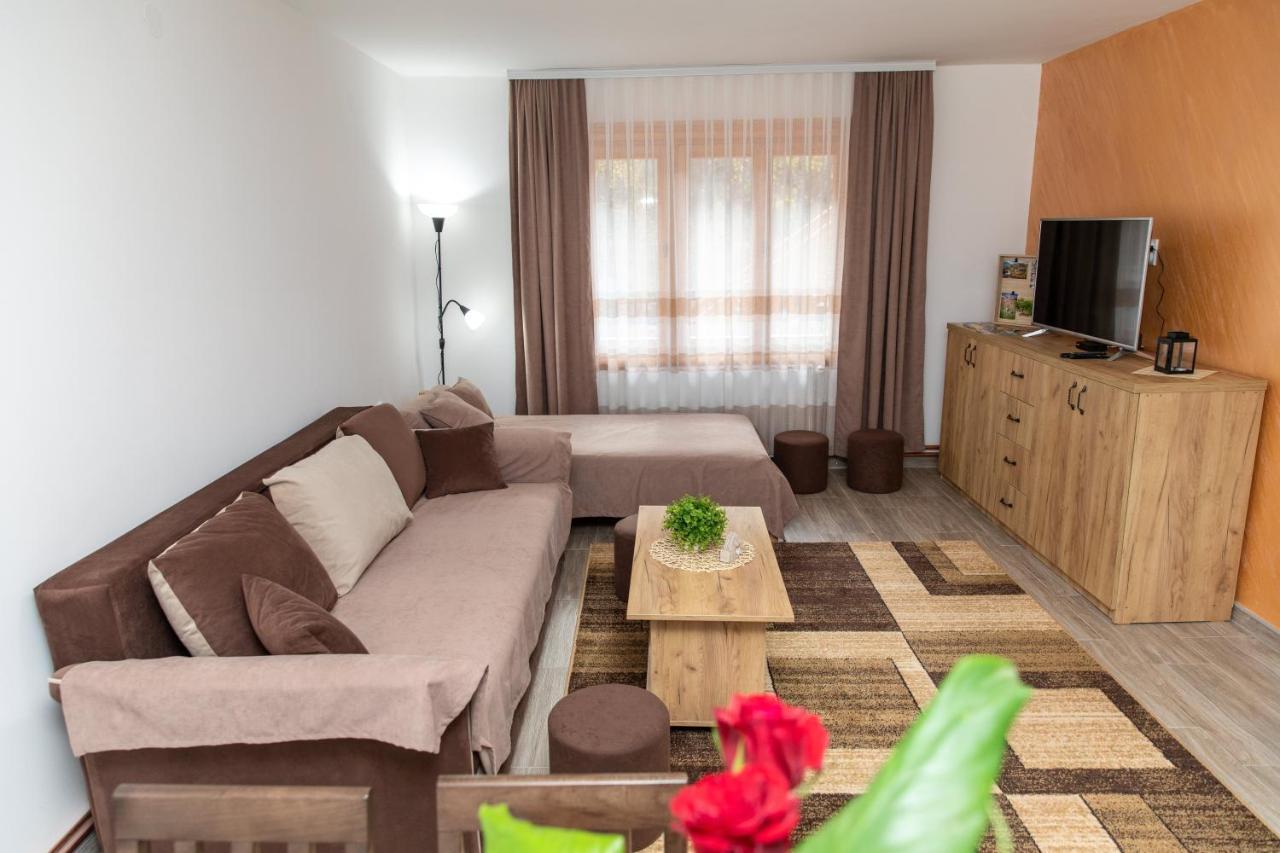 Kuca Stojanovica Topli Do Pirot Buitenkant foto