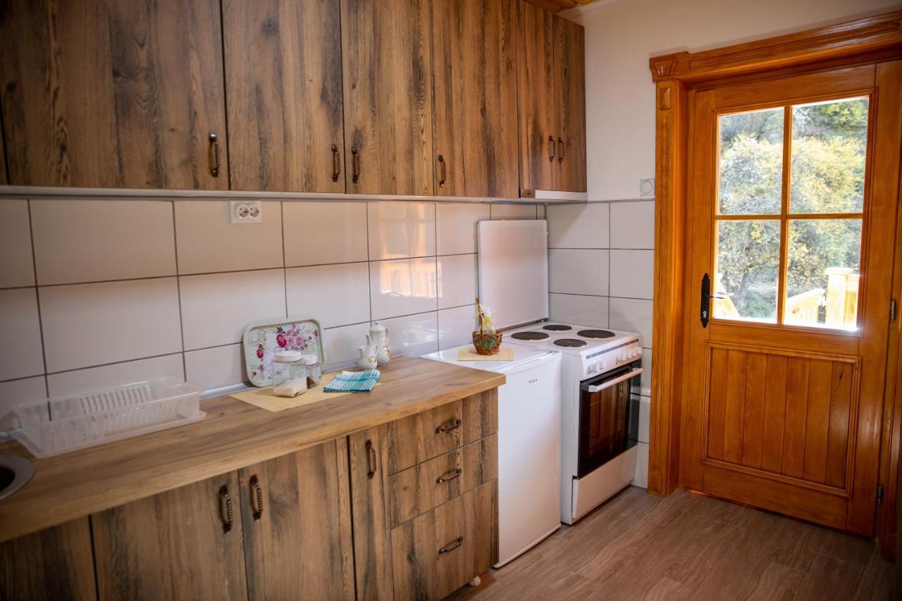 Kuca Stojanovica Topli Do Pirot Buitenkant foto