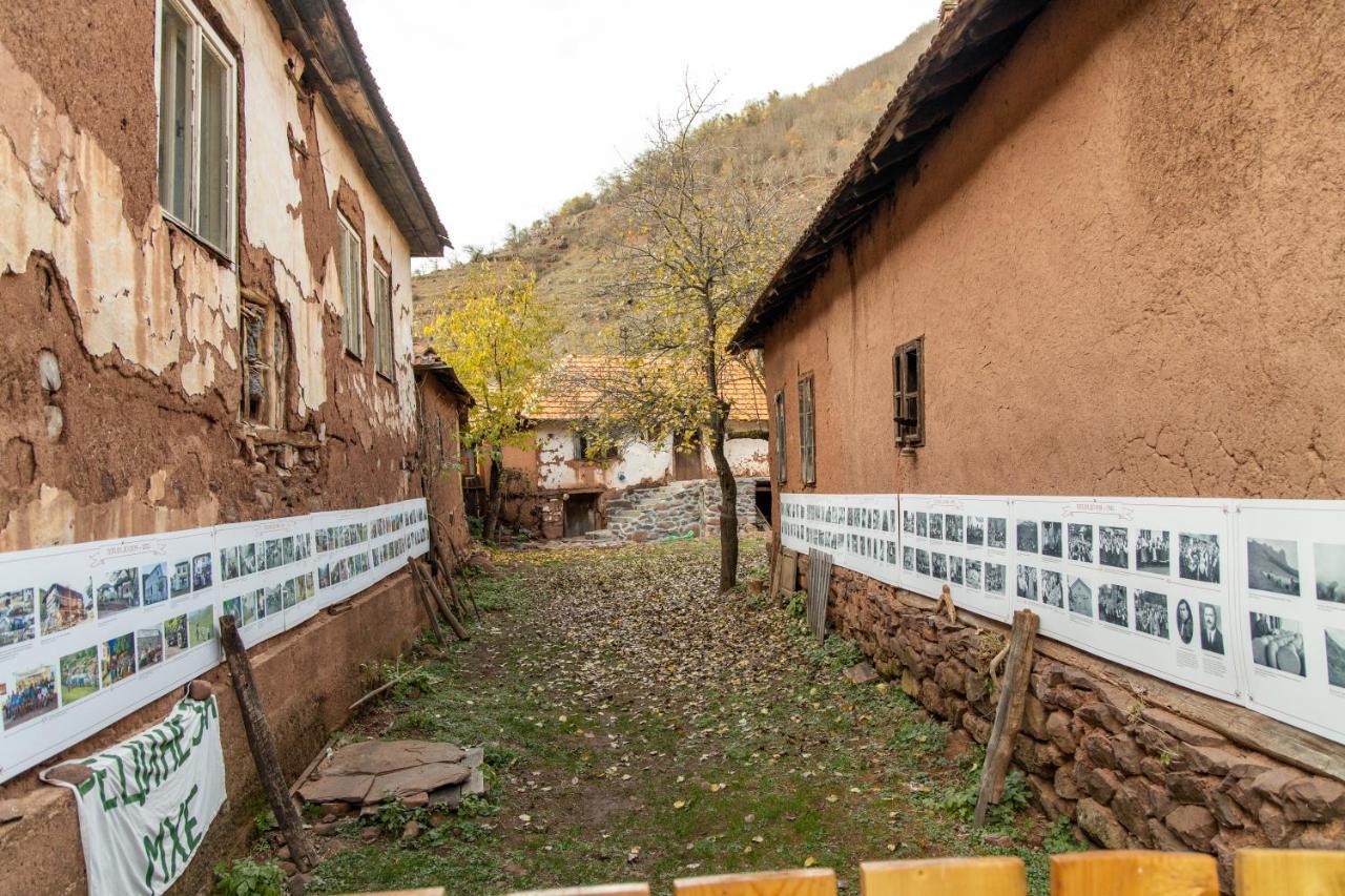 Kuca Stojanovica Topli Do Pirot Buitenkant foto