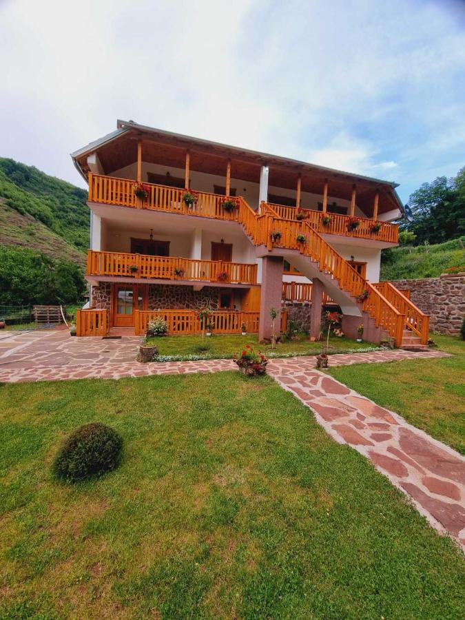 Kuca Stojanovica Topli Do Pirot Buitenkant foto
